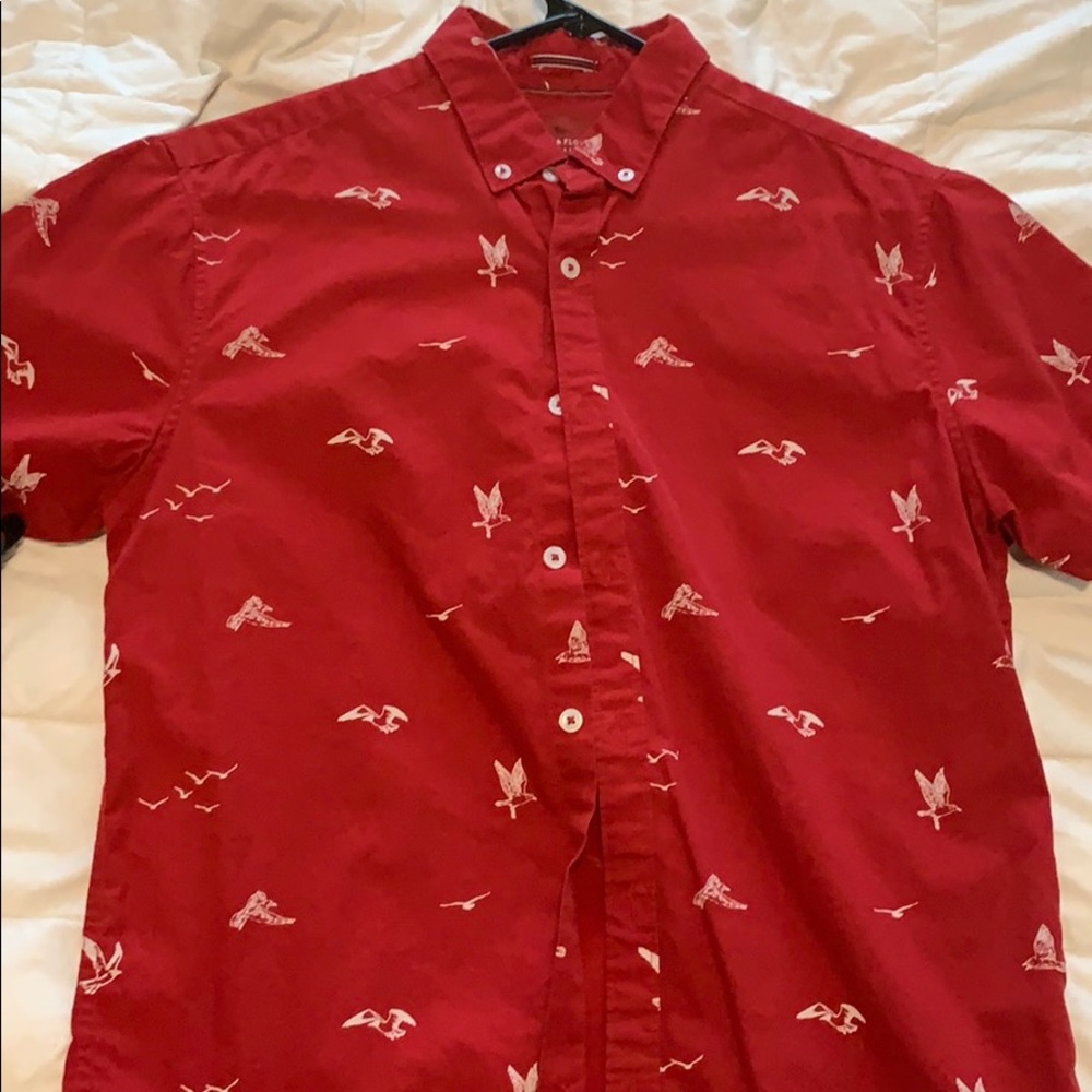 Short sleeve button down